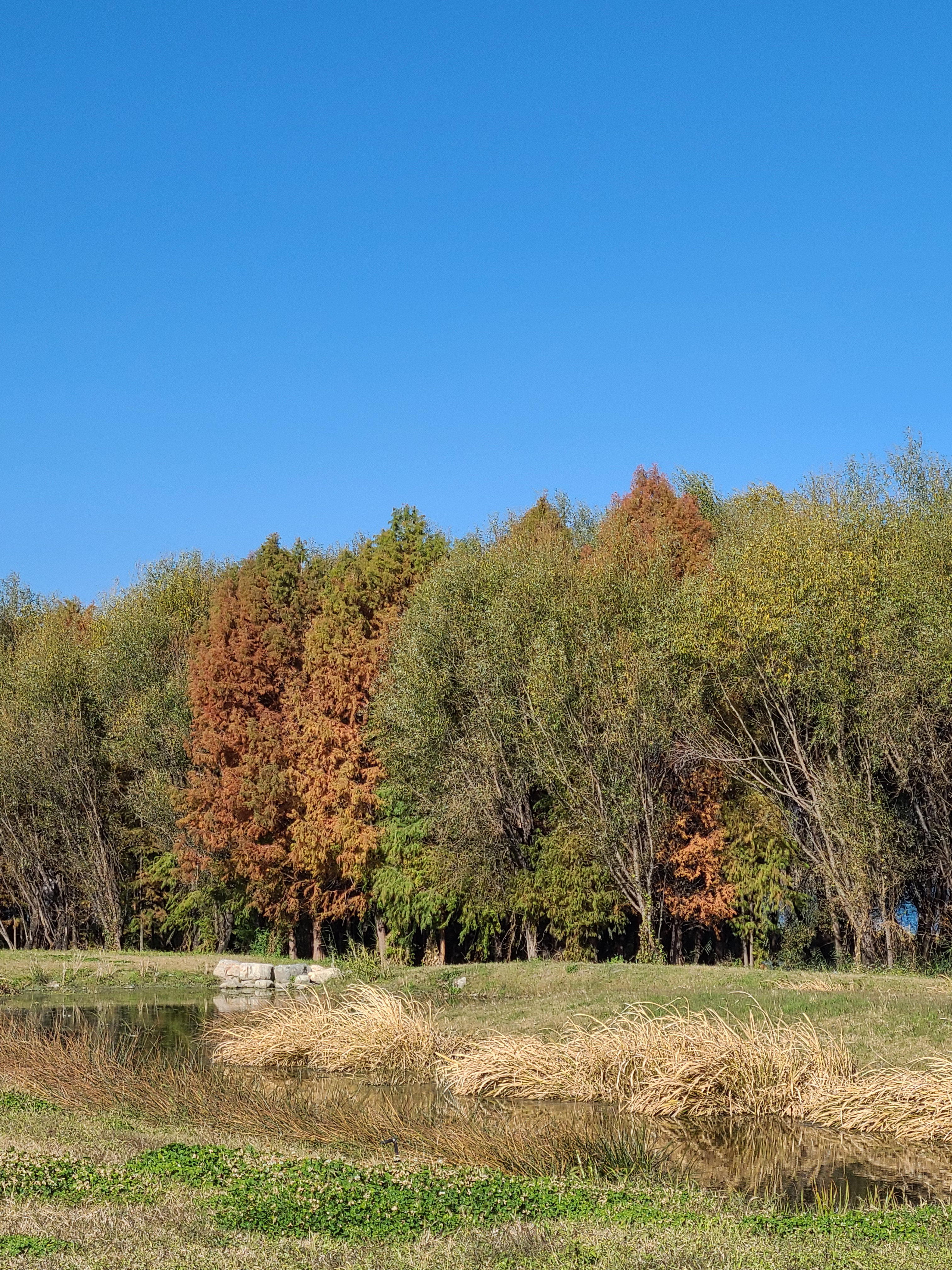 图片[12]-偶然发现了几张美图，甚是怀念-巍瀚の手記