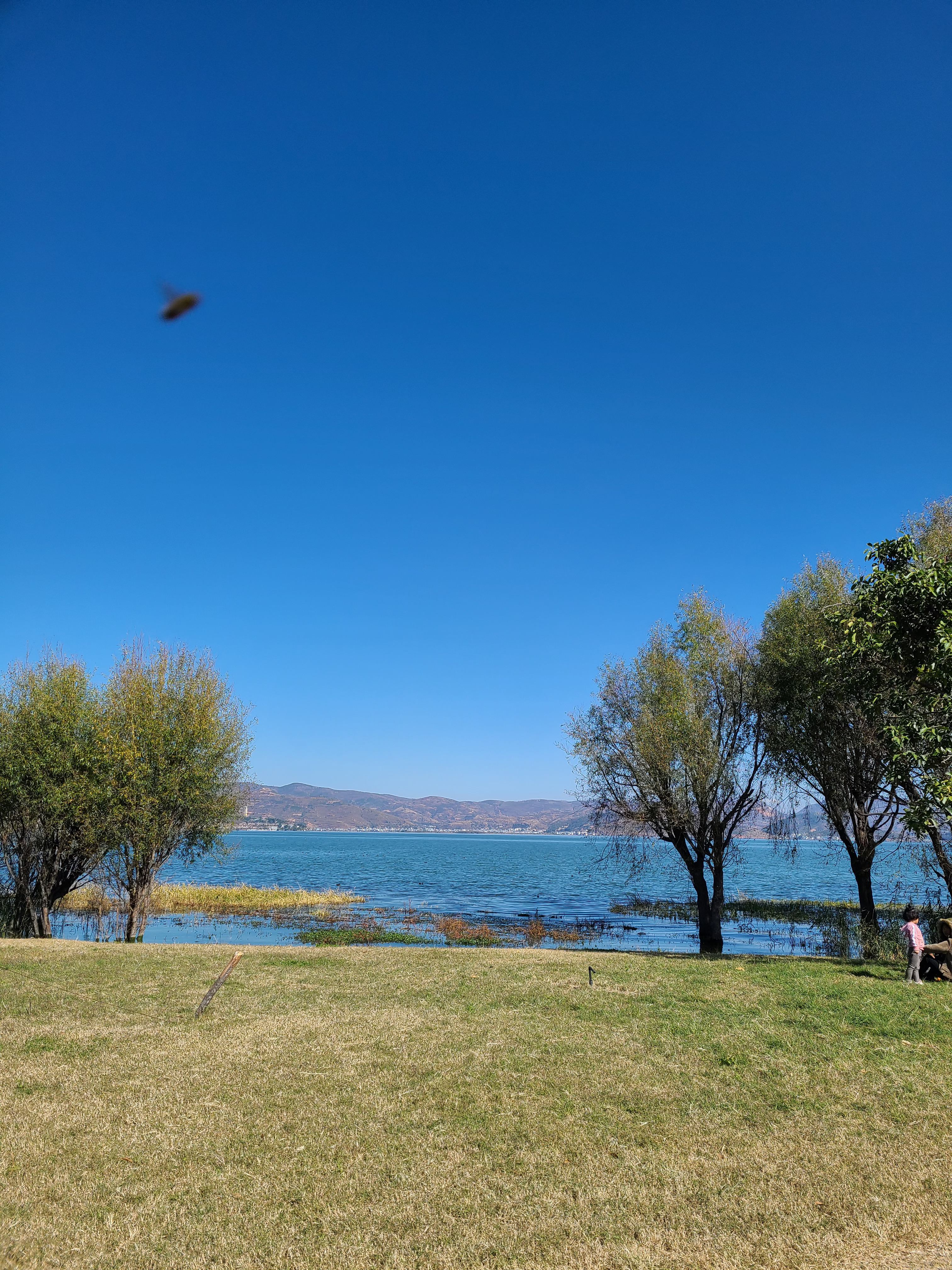 图片[8]-偶然发现了几张美图，甚是怀念-巍瀚の手記