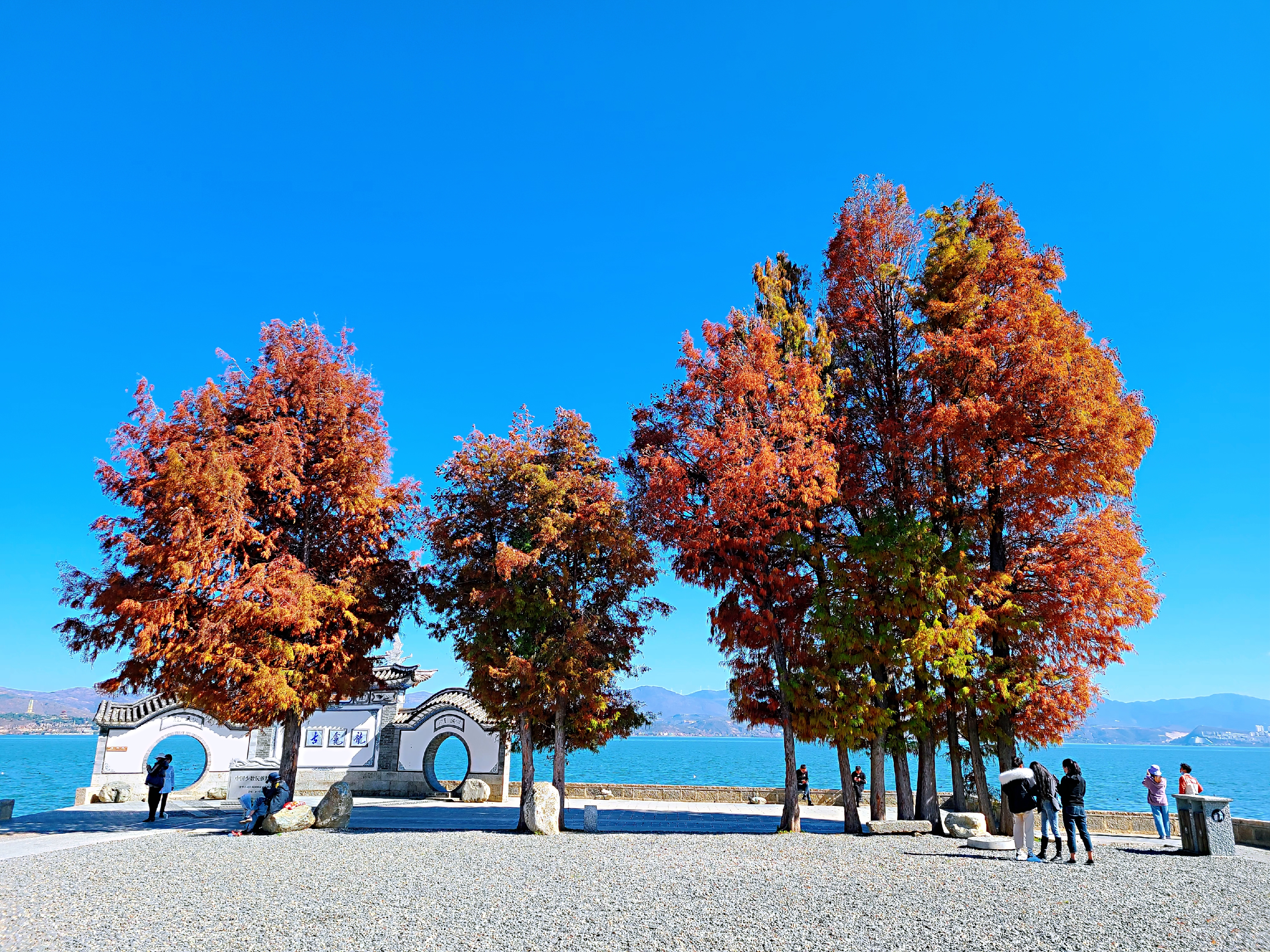 图片[5]-偶然发现了几张美图，甚是怀念-巍瀚の手記