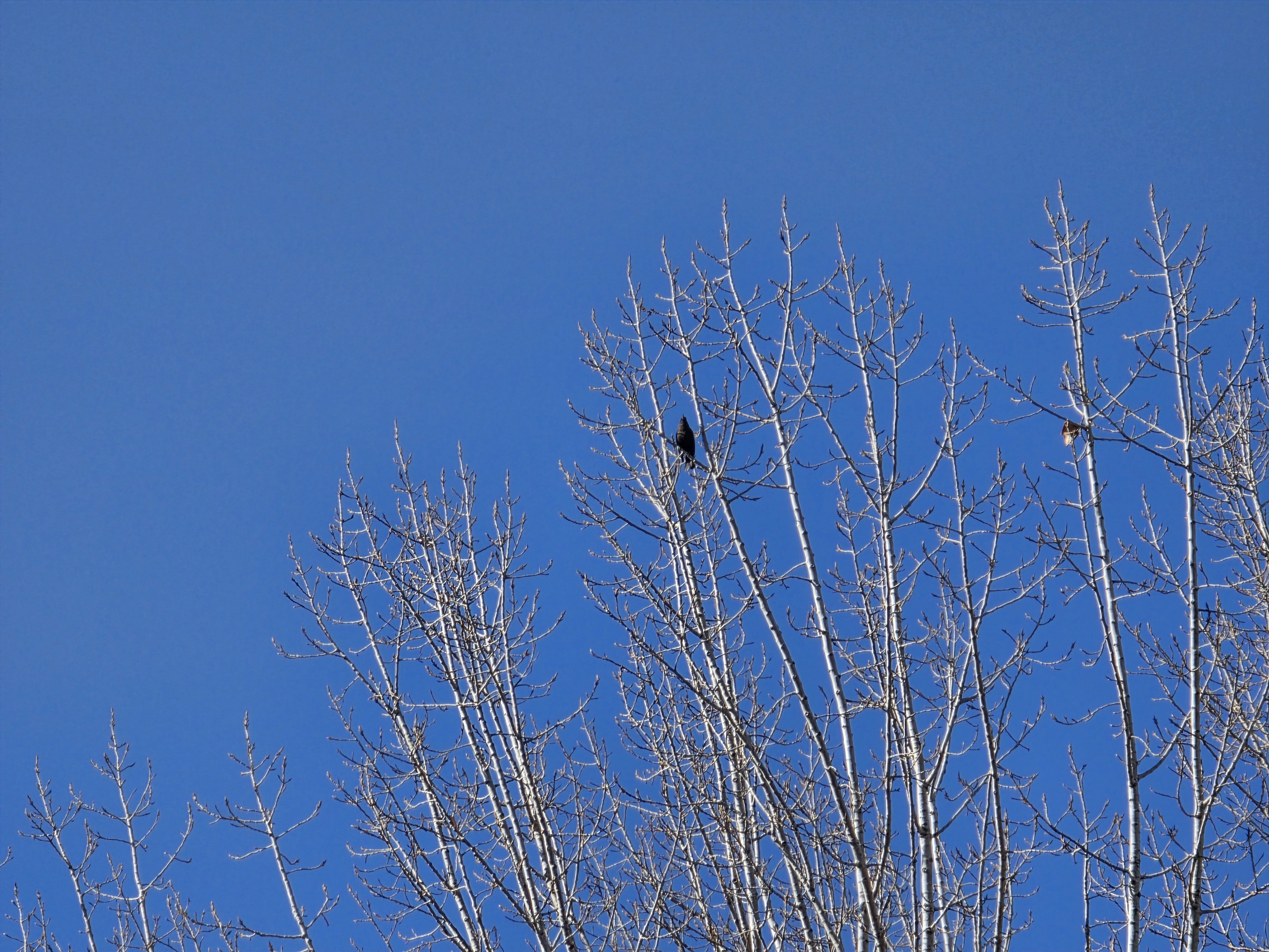 图片[6]-面对“死不认账”的熊家长，我硬刚到底，2025最后一天，我摊牌了-巍瀚の手記